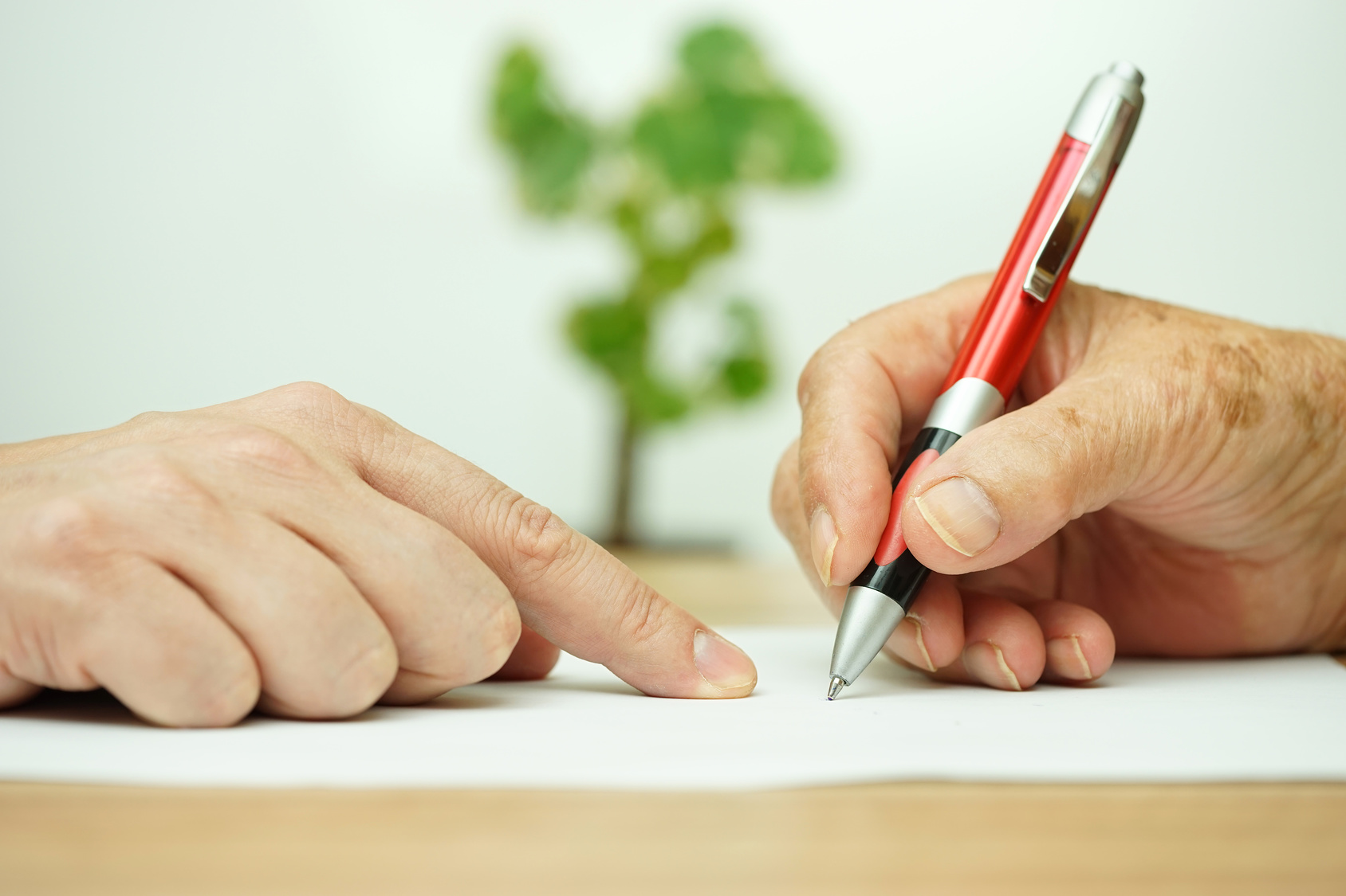 life insurance fraud